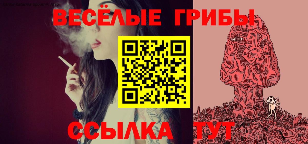 Кимры  Псилоцибиновые грибы Psilocybe  Вход с VPN 